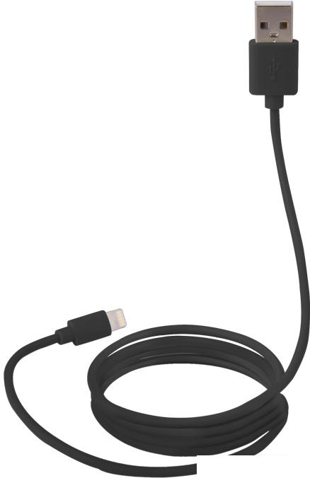 Кабель Canyon MFI-1 CNS-MFICAB01B USB Type-A - Lightning (1 м, черный)
