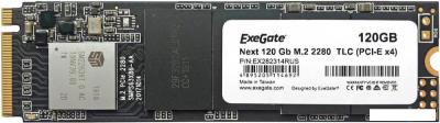 SSD ExeGate Next 120GB EX282314RUS