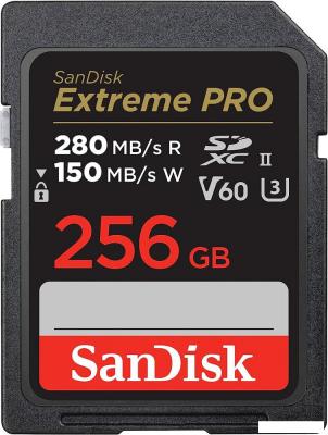 Карта памяти SanDisk Extreme PRO SDXC SDSDXEP-256G-GN4IN 256GB