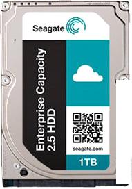 Жесткий диск Seagate Enterprise Capacity 1TB [ST1000NX0313]