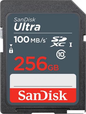 Карта памяти SanDisk Ultra SDXC SDSDUNR-256G-GN3IN 256GB