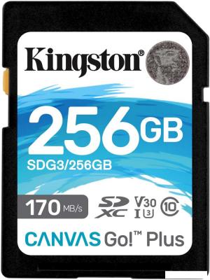 Карта памяти Kingston Canvas Go! Plus SDXC 256GB