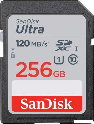 Карта памяти SanDisk Ultra SDXC SDSDUN4-256G-GN6IN 256GB