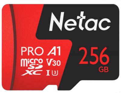 Карта памяти Netac 256GB 500 Extreme Pro NT02P500PRO-256G-R (с адаптером)