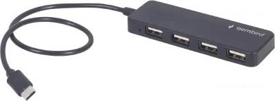 USB-хаб  Gembird UHB-CM-U2P4-01