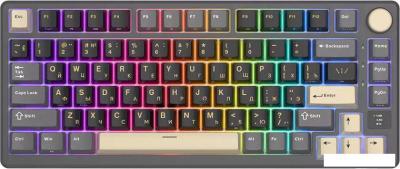 Клавиатура Royal Kludge RK-M75 RGB Phantom (RK Brown)