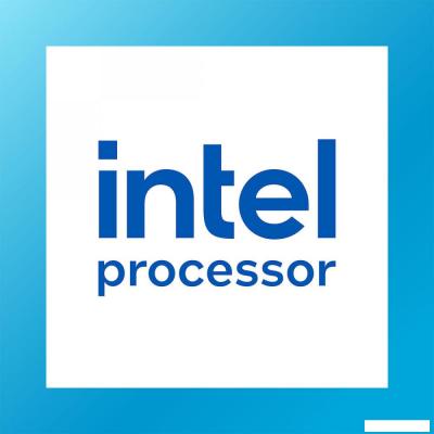 Процессор Intel Processor 300