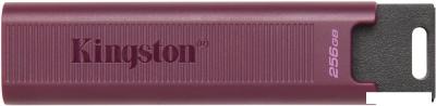 USB Flash Kingston DataTraveler Max Type-A 256GB