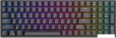 Клавиатура Royal Kludge RK100 RGB (черный, RK Red)