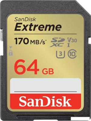 Карта памяти SanDisk Extreme SDXC SDSDXV2-064G-GNCIN 64GB