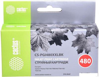 Картридж CACTUS CS-PGI480XXLBK (аналог Canon PGI-480XXL PGBK)