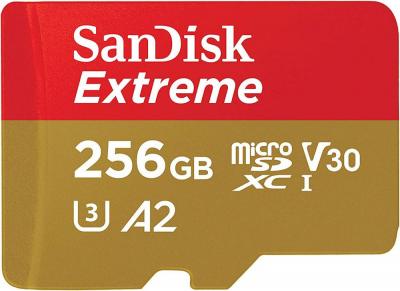 Карта памяти SanDisk Extreme microSDXC SDSQXAV-256G-GN6MN 256GB