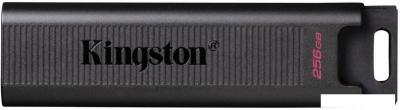 USB Flash Kingston DataTraveler Max Type-C 256GB